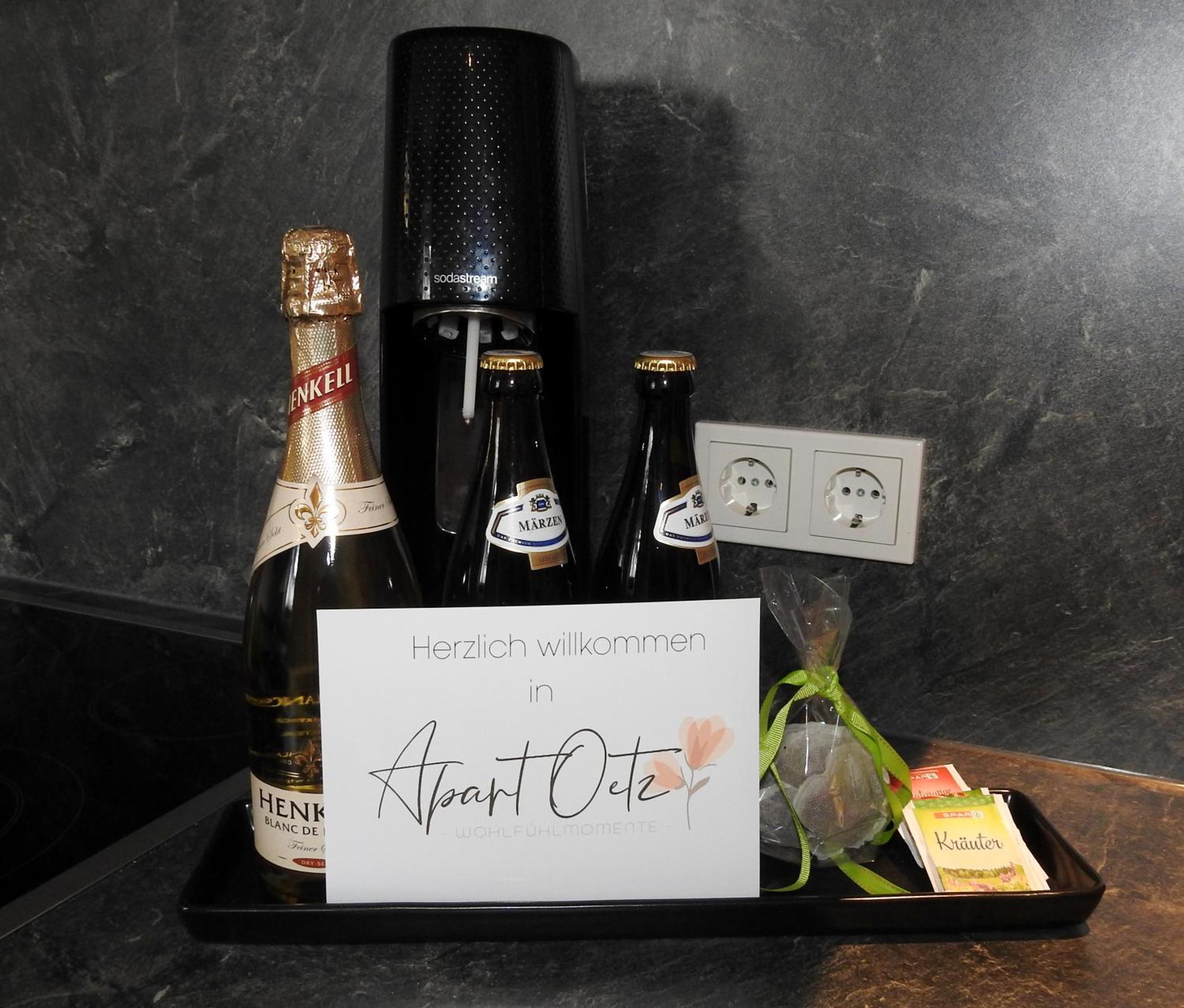 Apart Oetz Apartment *